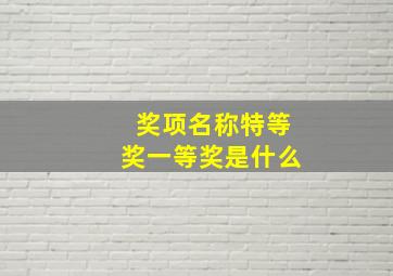 奖项名称特等奖一等奖是什么