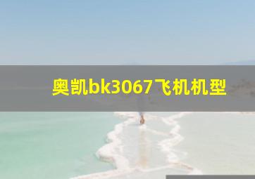 奥凯bk3067飞机机型