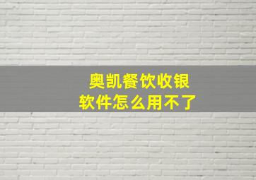 奥凯餐饮收银软件怎么用不了