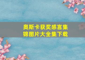 奥斯卡获奖感言集锦图片大全集下载