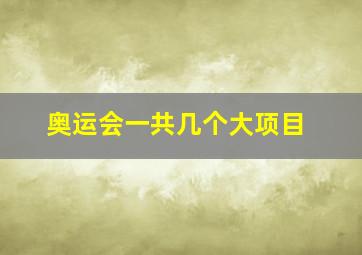 奥运会一共几个大项目