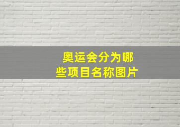 奥运会分为哪些项目名称图片