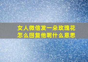 女人微信发一朵玫瑰花怎么回复他呢什么意思