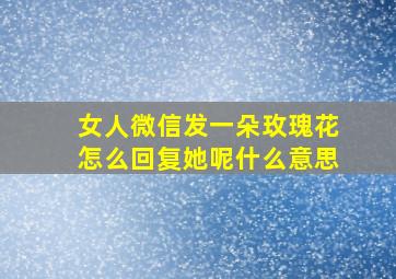 女人微信发一朵玫瑰花怎么回复她呢什么意思