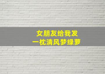 女朋友给我发一枕清风梦绿萝