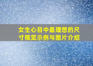 女生心目中最理想的尺寸视觉示例与图片介绍