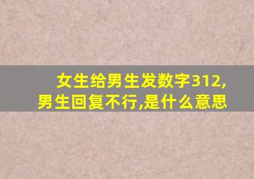 女生给男生发数字312,男生回复不行,是什么意思