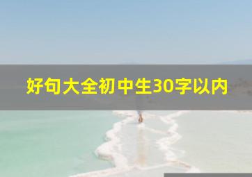 好句大全初中生30字以内