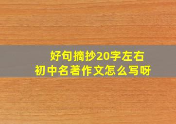 好句摘抄20字左右初中名著作文怎么写呀