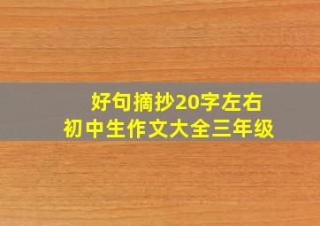 好句摘抄20字左右初中生作文大全三年级