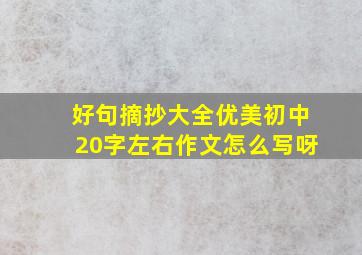 好句摘抄大全优美初中20字左右作文怎么写呀