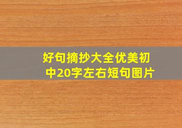 好句摘抄大全优美初中20字左右短句图片