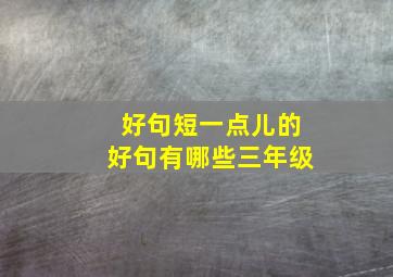 好句短一点儿的好句有哪些三年级