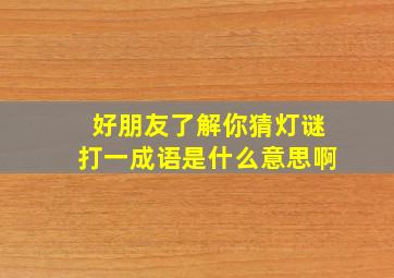 好朋友了解你猜灯谜打一成语是什么意思啊