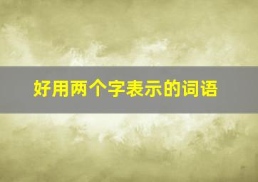 好用两个字表示的词语