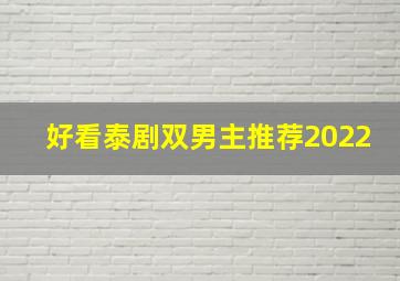 好看泰剧双男主推荐2022