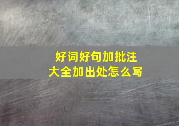 好词好句加批注大全加出处怎么写