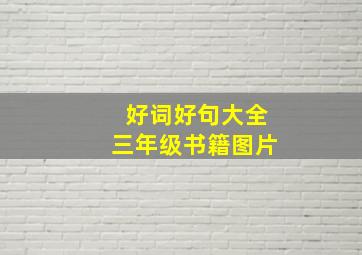 好词好句大全三年级书籍图片