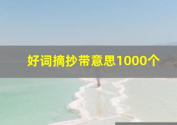 好词摘抄带意思1000个