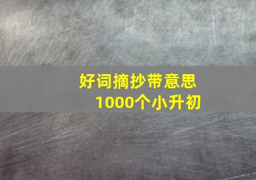 好词摘抄带意思1000个小升初