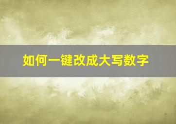 如何一键改成大写数字