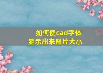 如何使cad字体显示出来图片大小