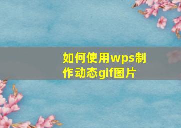 如何使用wps制作动态gif图片