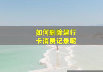 如何删除建行卡消费记录呢