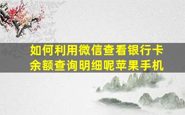 如何利用微信查看银行卡余额查询明细呢苹果手机