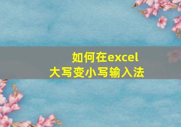 如何在excel大写变小写输入法