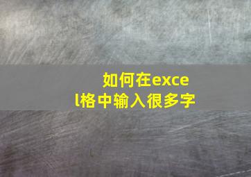 如何在excel格中输入很多字