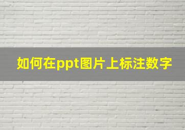 如何在ppt图片上标注数字