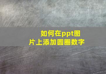 如何在ppt图片上添加圆圈数字