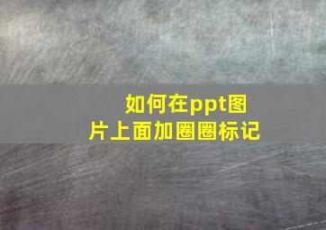 如何在ppt图片上面加圈圈标记