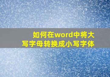 如何在word中将大写字母转换成小写字体