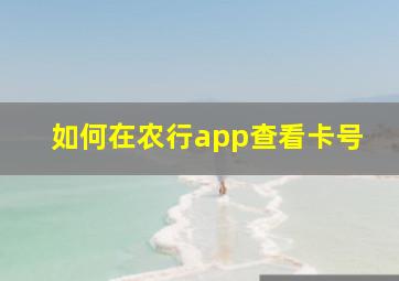 如何在农行app查看卡号