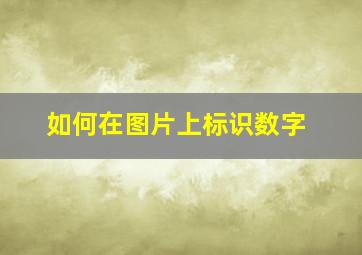 如何在图片上标识数字