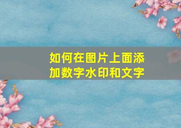 如何在图片上面添加数字水印和文字