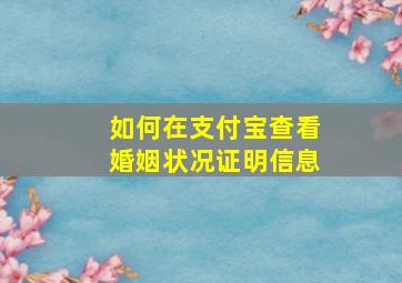 如何在支付宝查看婚姻状况证明信息