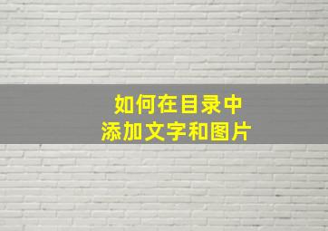 如何在目录中添加文字和图片