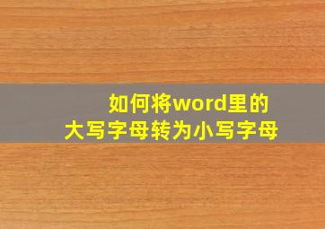 如何将word里的大写字母转为小写字母