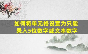 如何将单元格设置为只能录入5位数字或文本数字