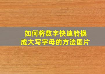 如何将数字快速转换成大写字母的方法图片