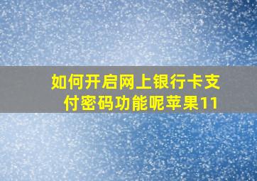 如何开启网上银行卡支付密码功能呢苹果11