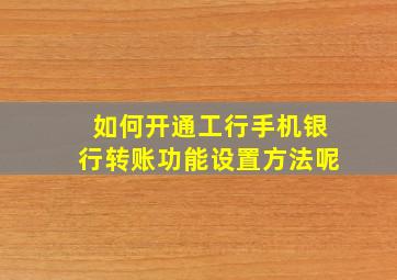 如何开通工行手机银行转账功能设置方法呢