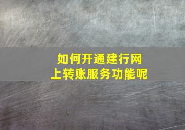 如何开通建行网上转账服务功能呢