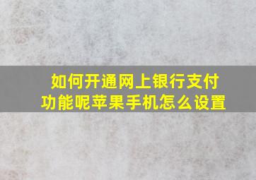 如何开通网上银行支付功能呢苹果手机怎么设置