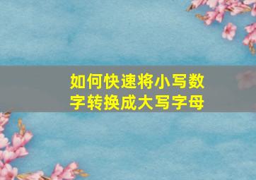 如何快速将小写数字转换成大写字母