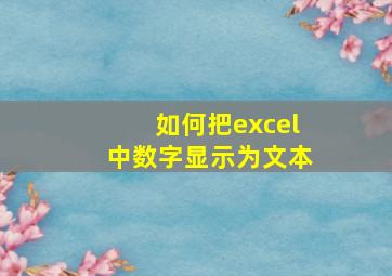 如何把excel中数字显示为文本