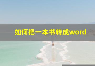 如何把一本书转成word